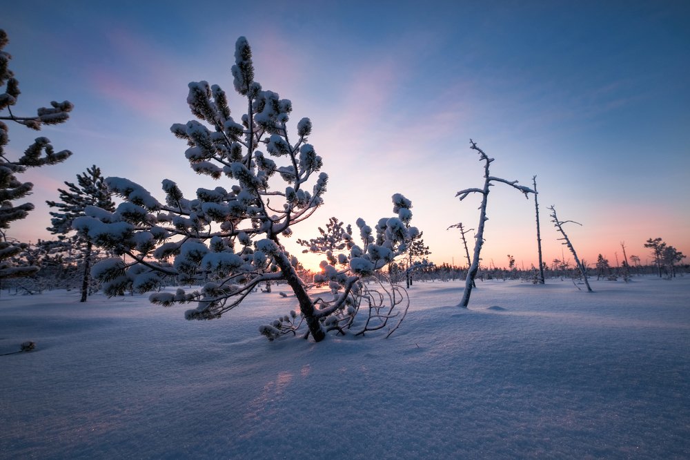 Photograph by Роман Грушевский