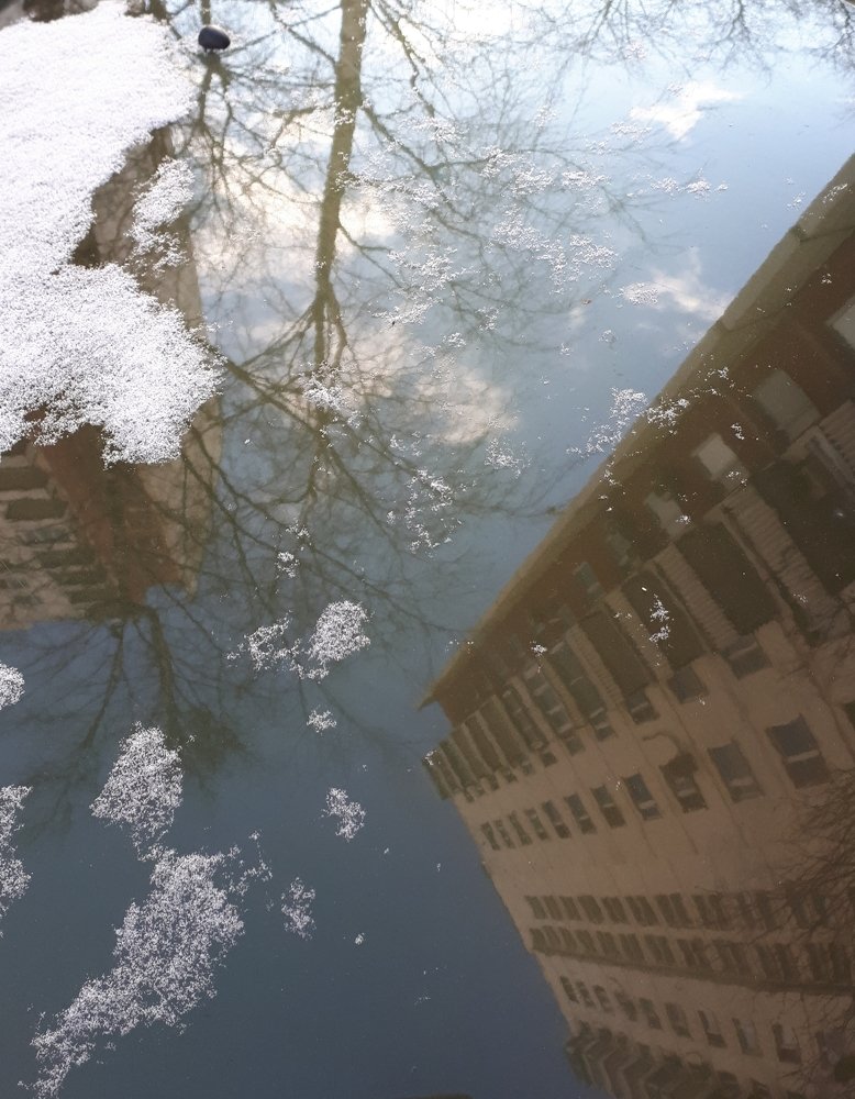 Photograph by Юлия Звонкова