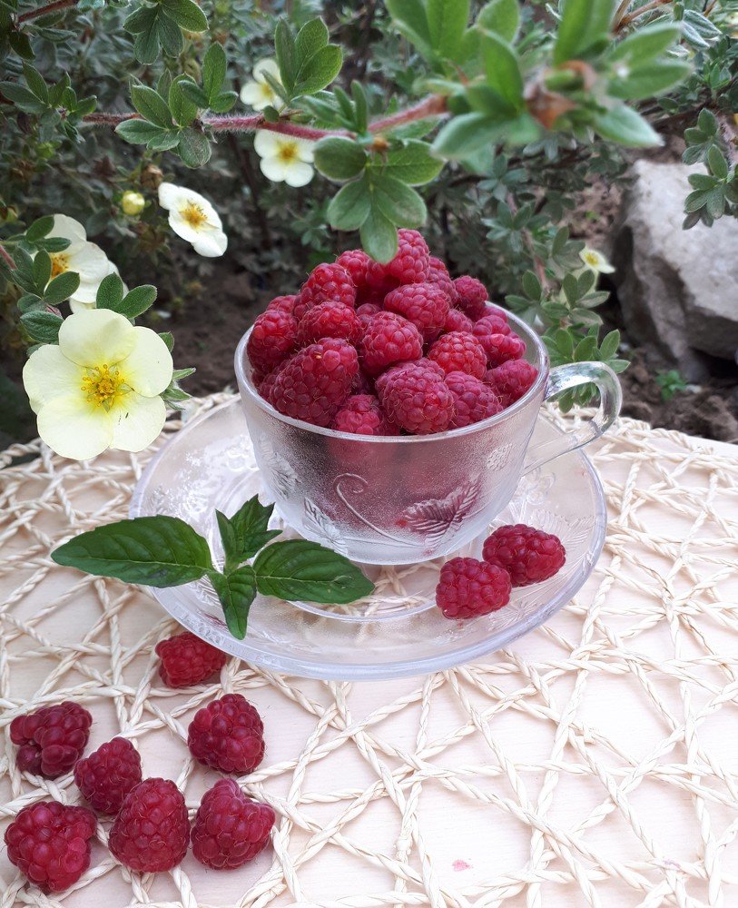 Photograph by Юлия Звонкова