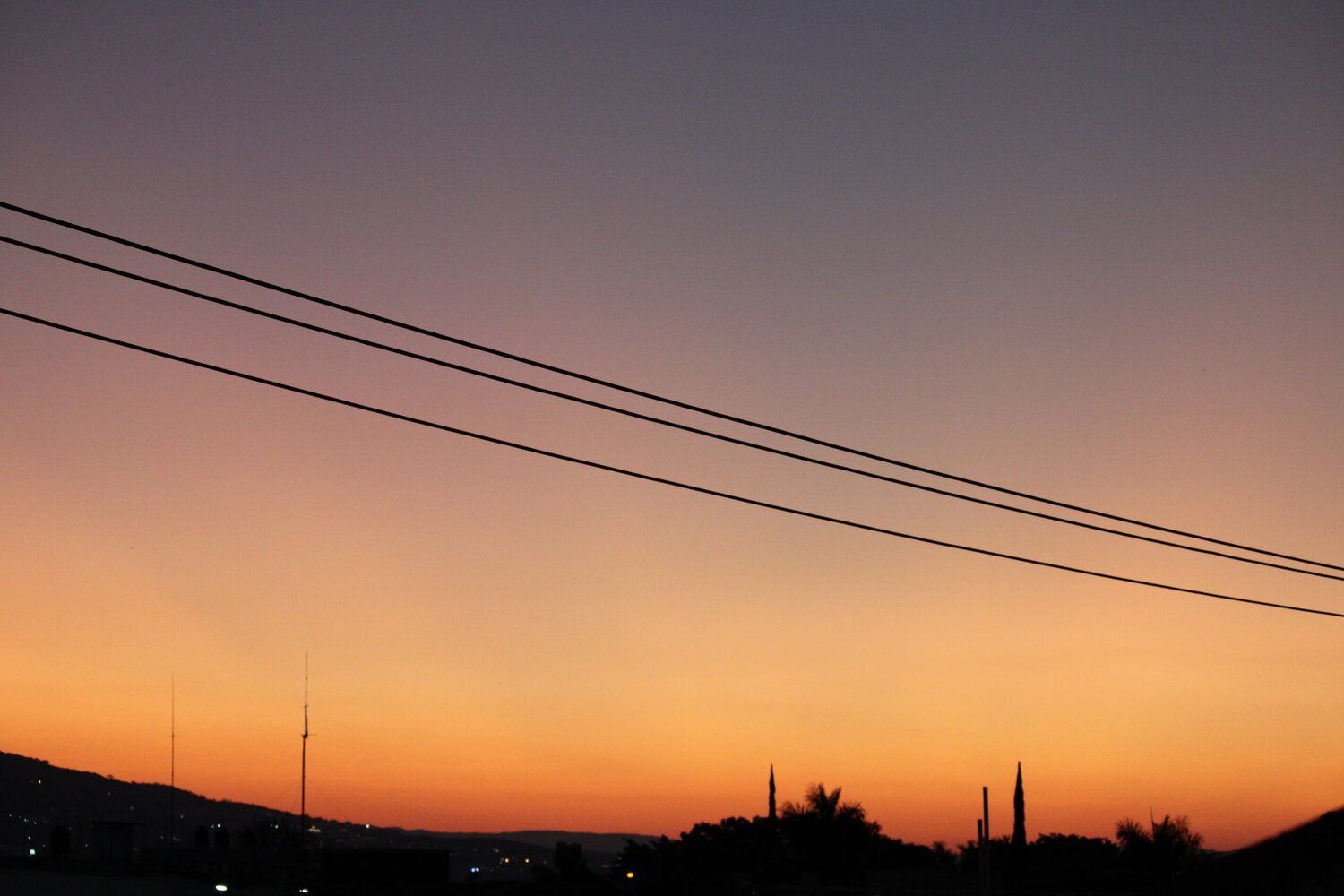 Photo #4265133