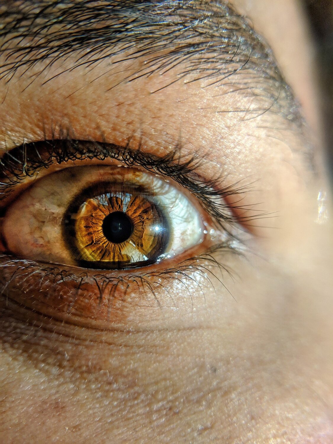Photo #4265149