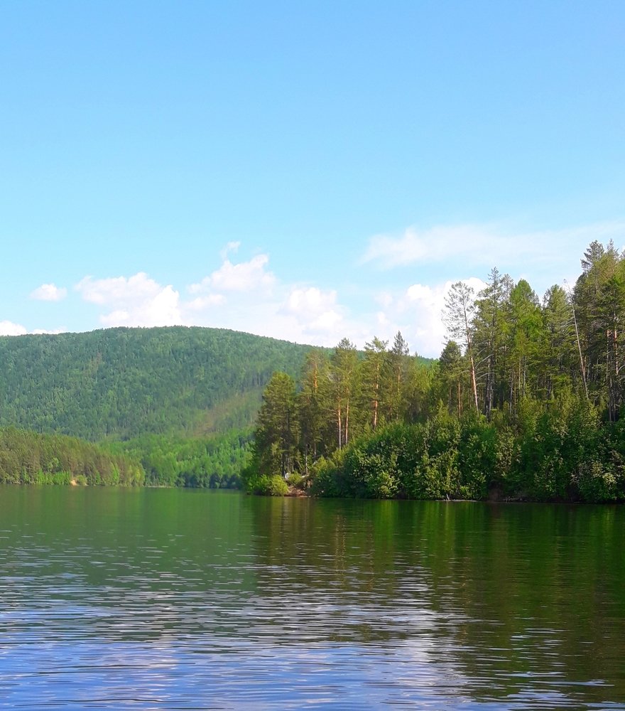 Photo #4265157