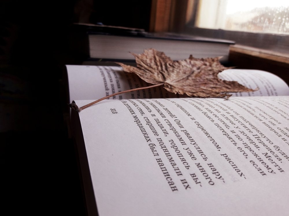 Photograph by Татьяна Мазур