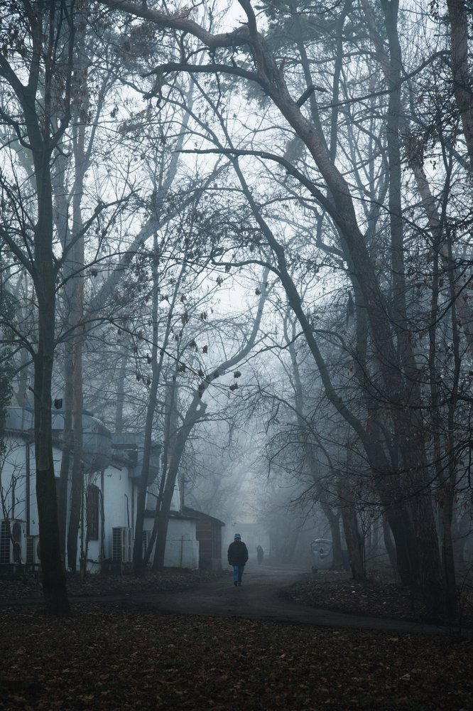 Фотография автора Ivelina Petkova