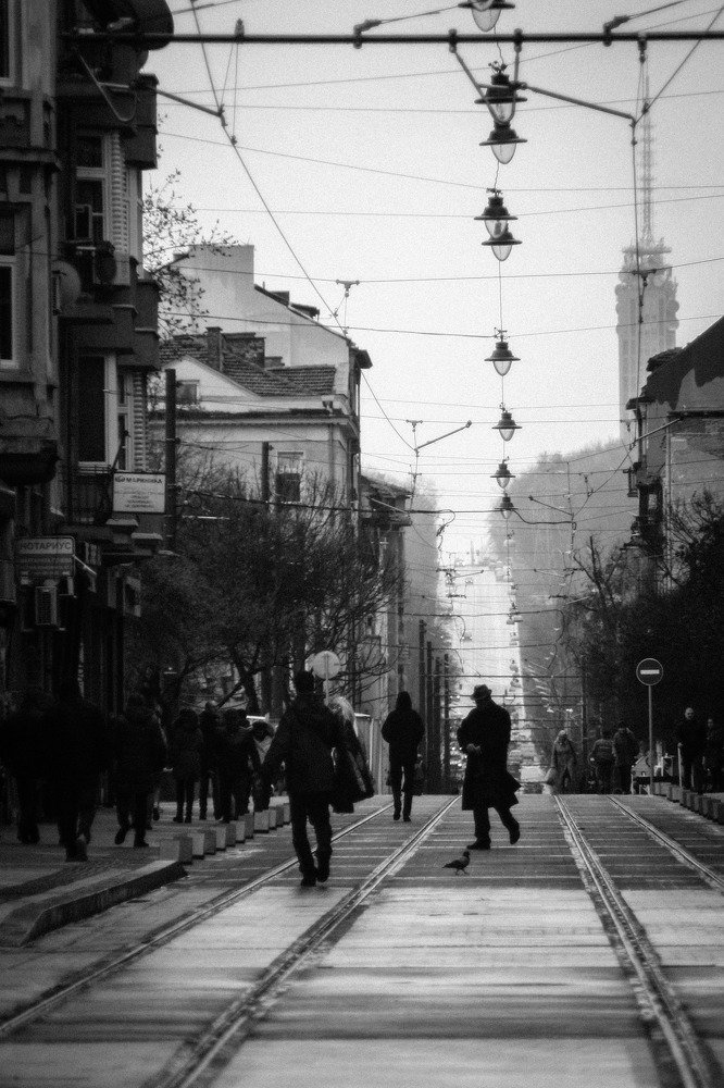 Фотография автора Ivelina Petkova