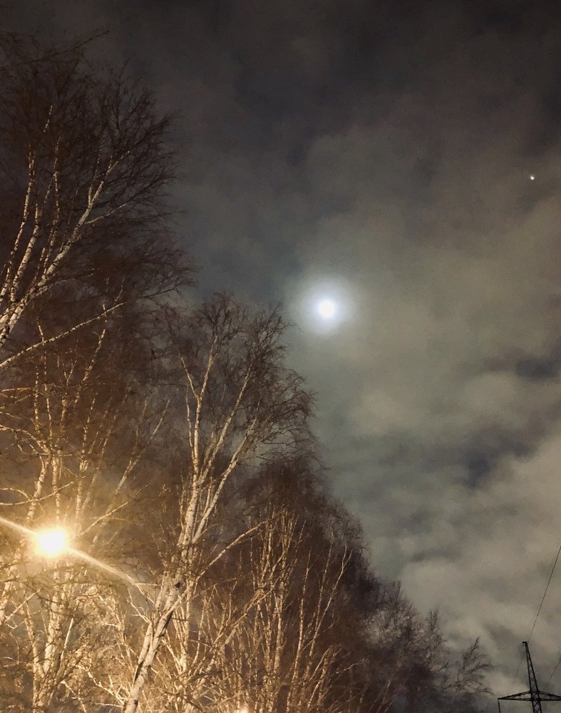 Прогулки под луной