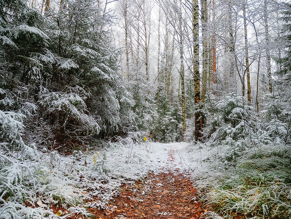 Photograph by Надежда Колеватова
