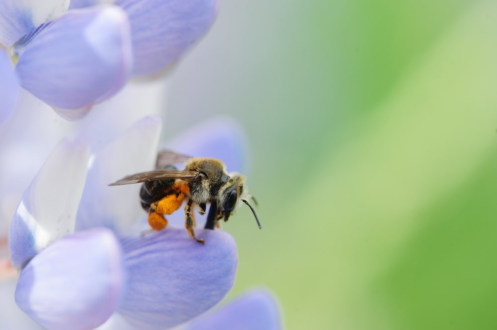 Photograph by Карина Воробьева