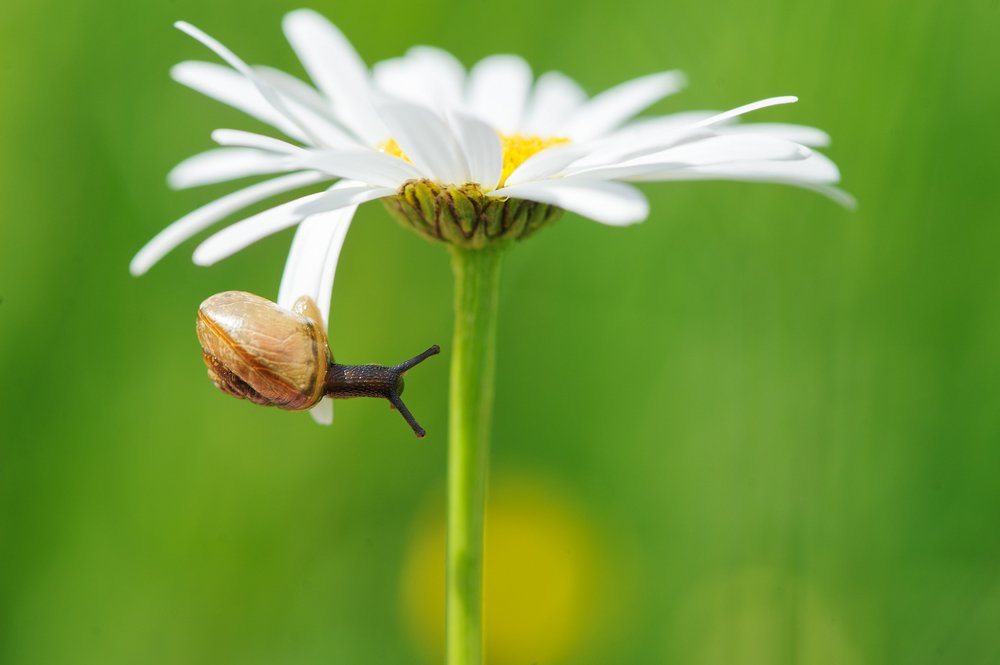 Photograph by Карина Воробьева
