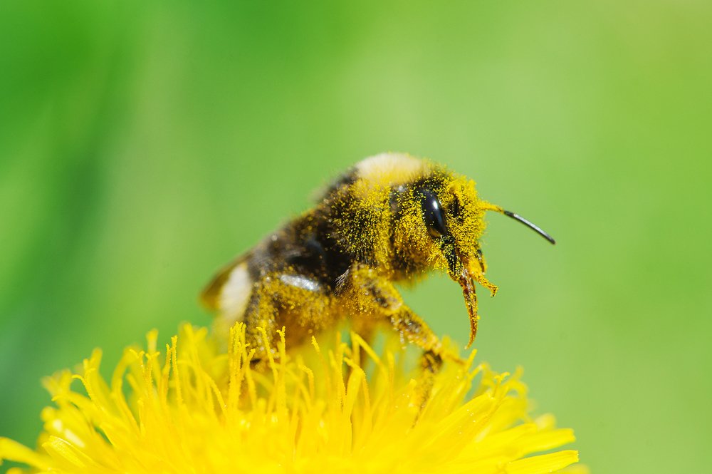 Photograph by Карина Воробьева