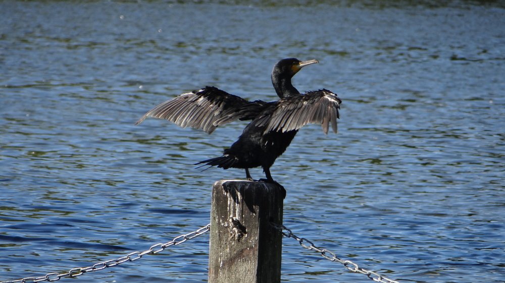 Photograph by Galya Krasteva