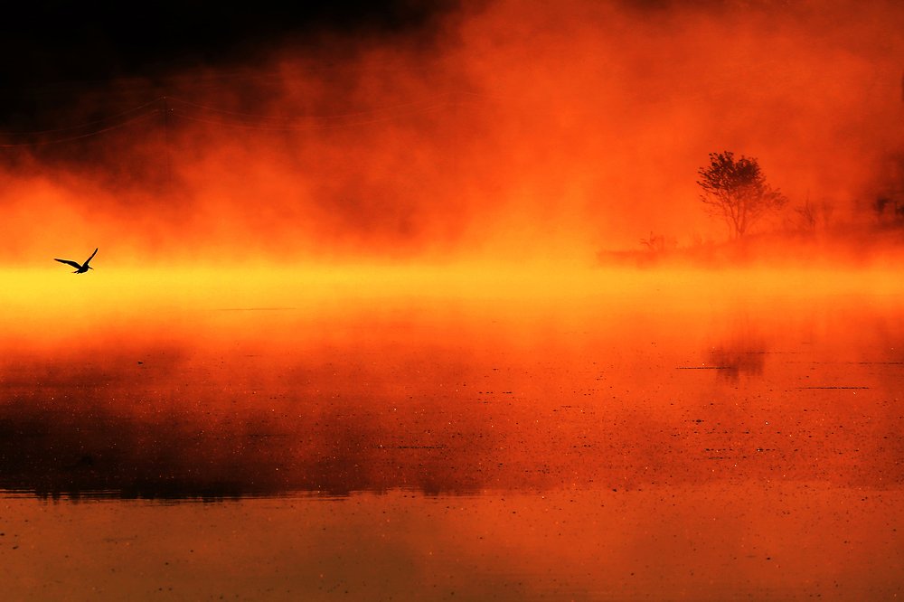 Краски солнечного дня.