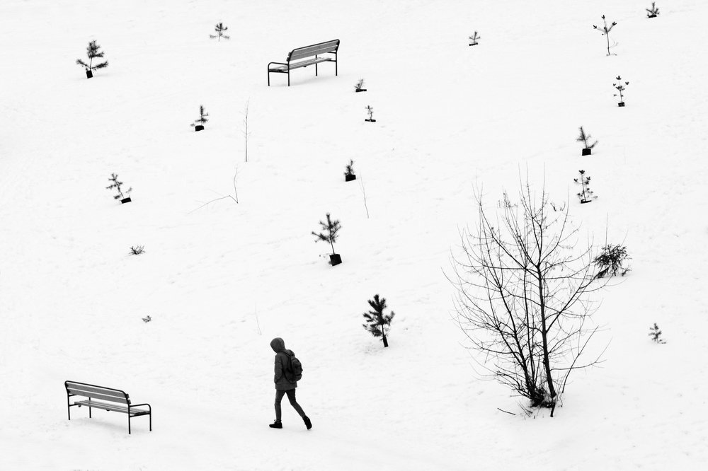 Photograph by Алексей Федотов