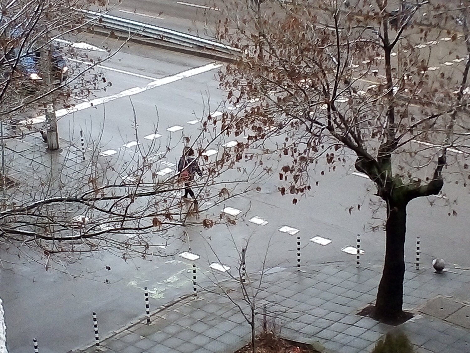 Photo #4265540