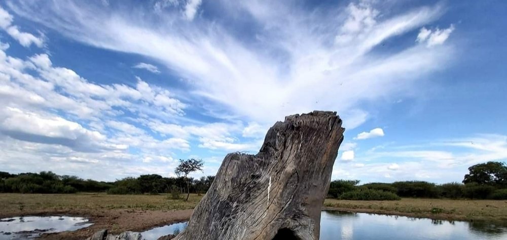 Photograph by GAREGOPE KEBAABETSWE