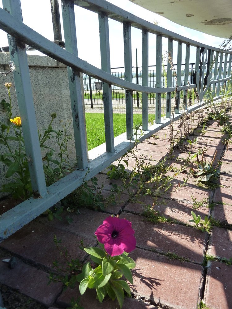 Фотография автора Клавдия Васильева