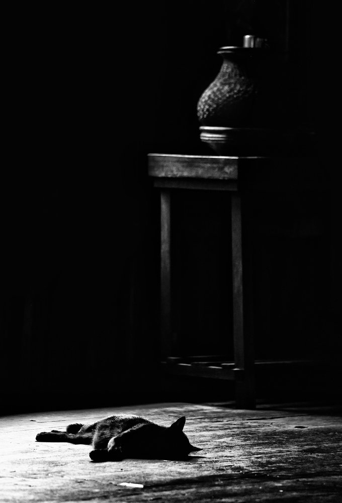 Photograph by yakov stavchansky