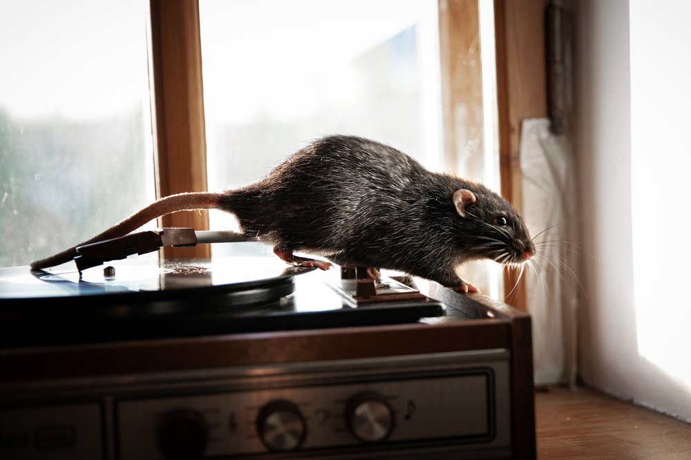 Photograph by Олеся Гаранина