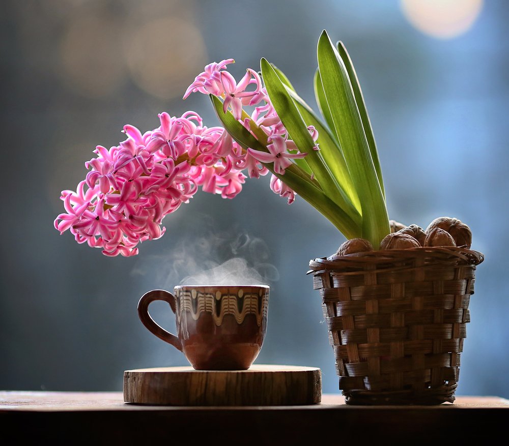 Фотография автора Евгения Грин