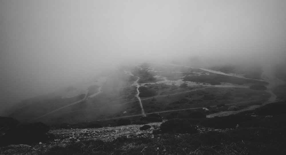 Photograph by Olga Moshnikova