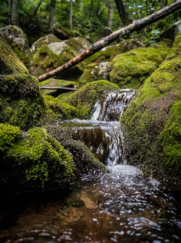 Photograph by Виктор Сёмушкин