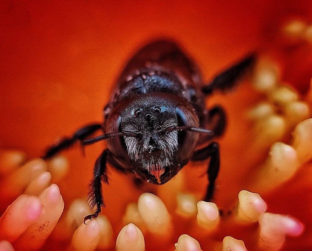 Photograph by SUBRAT NATH
