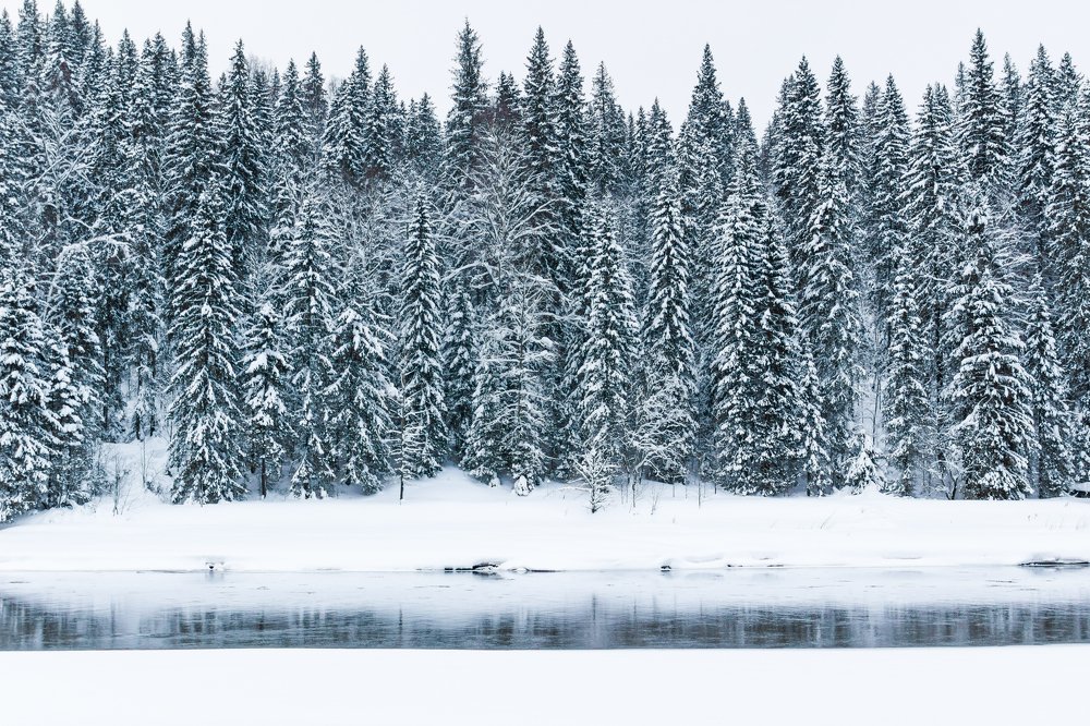 Photograph by Евгения Сунько