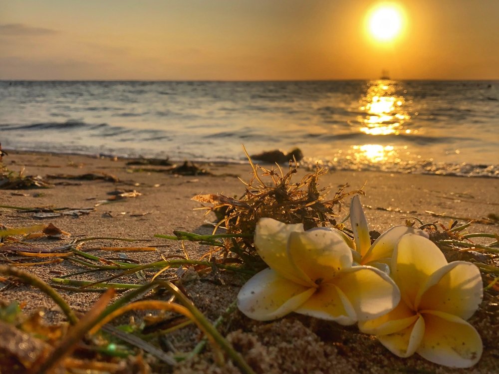 Photograph by Светлана Багликова