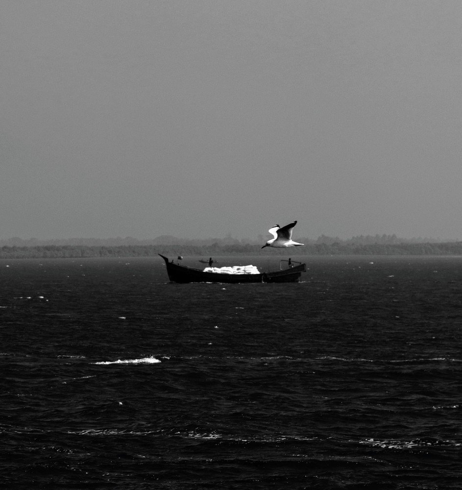 Everything is moving