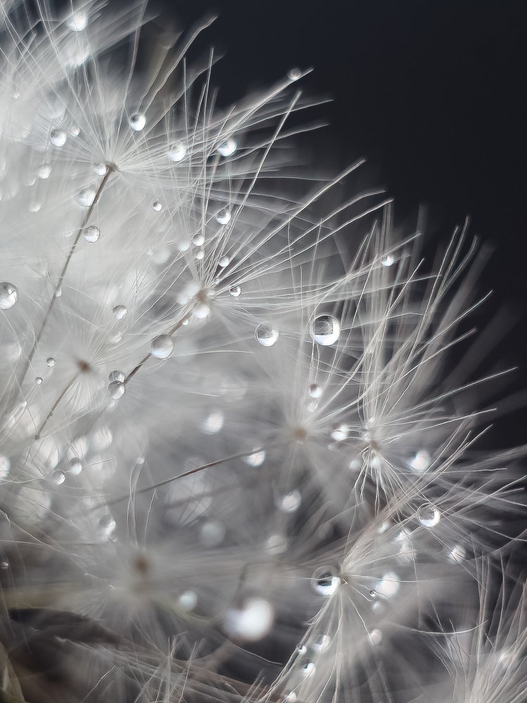 Созвездие дождя