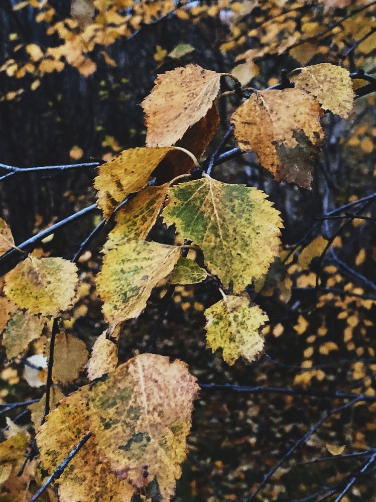 Photograph by Светлана