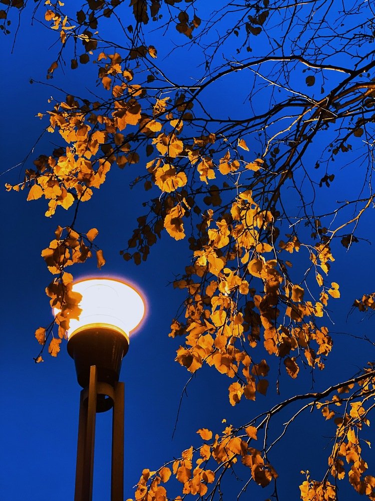 Photograph by Светлана