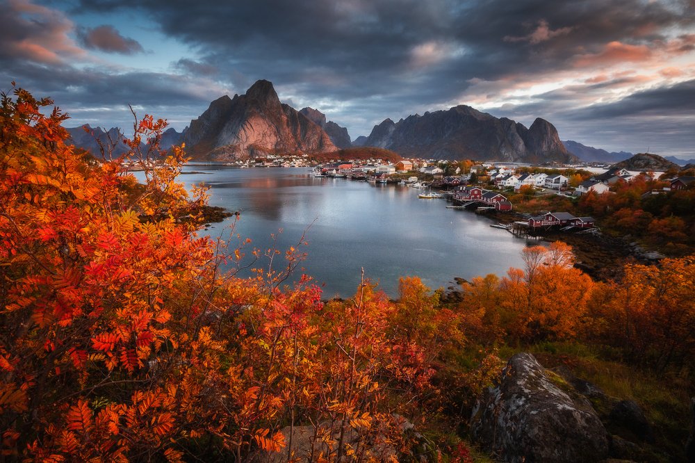 Autumn in Lofoten