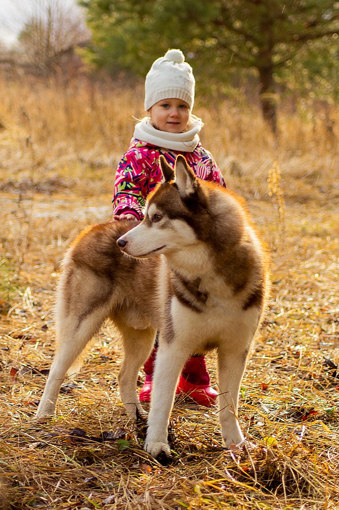 Photograph by Ирина Бучева