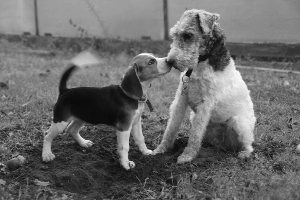 Photograph by Инга Крыжановская