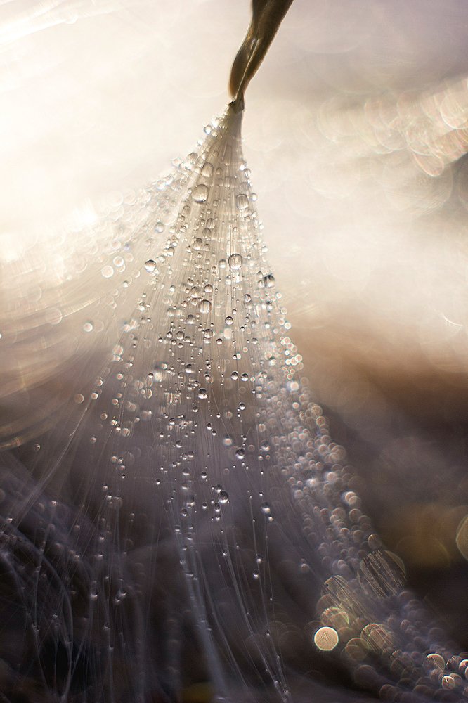 Photograph by Екатерина Топалова