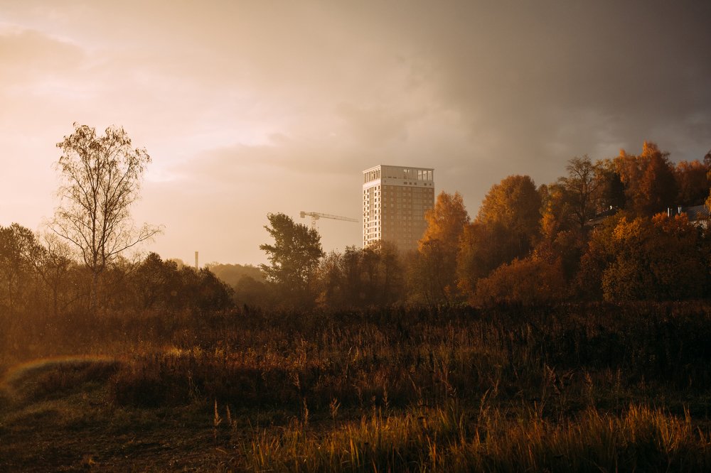 Городской пейзаж. 100 лет без людей.