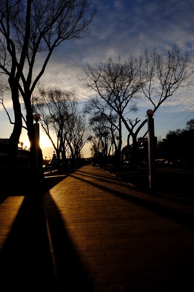 Фотография автора Vitaly Minaker