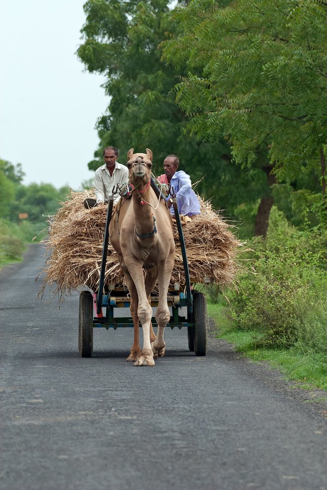 Photograph by Rishit Sheth