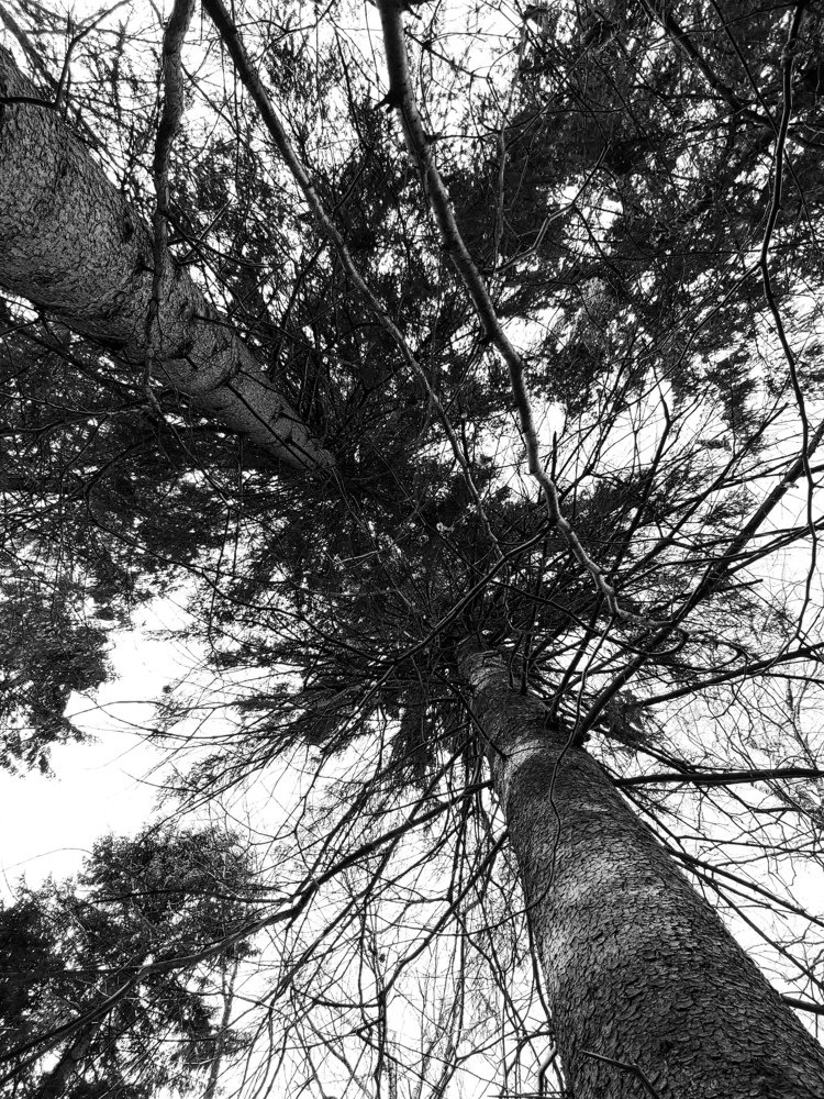 Photograph by Кристина Вингре