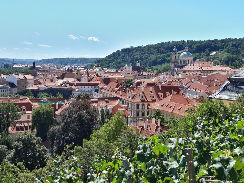 Photograph by Yurii Tofan