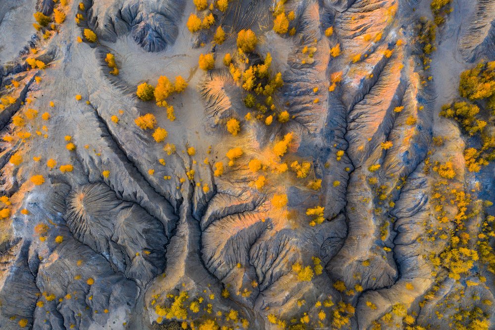 Кондуки осенью/Konduki in autumn.