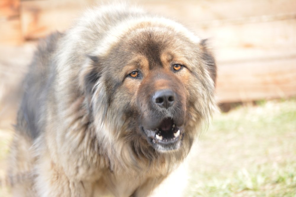 Photograph by Юрий Худяков