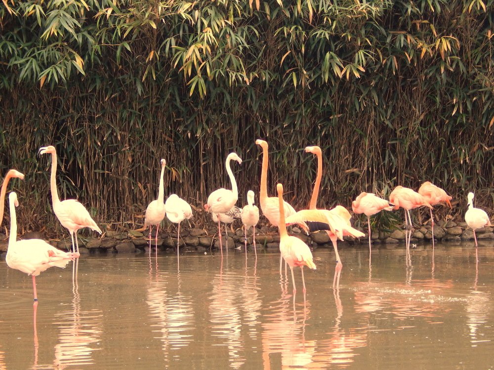 Photograph by Юрий Худяков