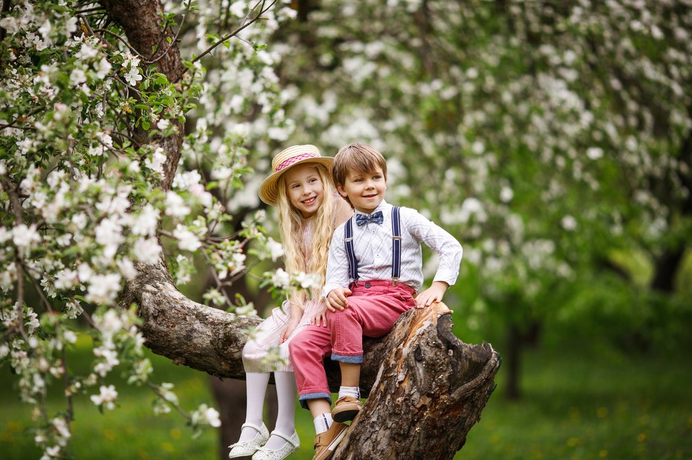 Цветущий сад