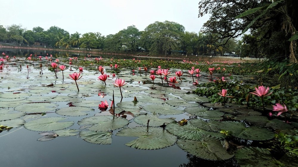 Photograph by Uttam bala