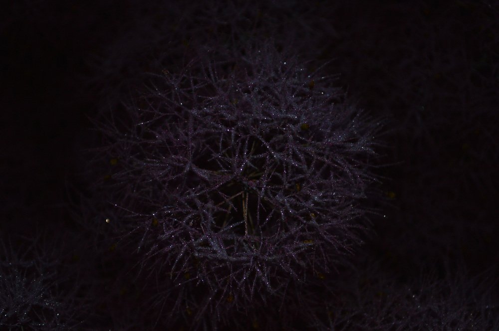 Photograph by Анна Толмачёва