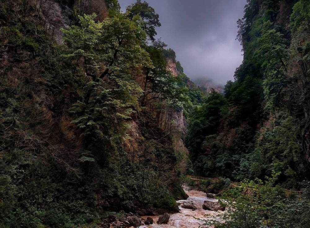 Бодрящая свежесть Гуамки.