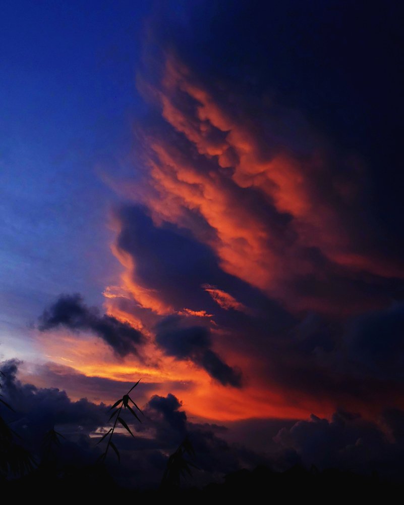 Photograph by Валентин Цаплинов