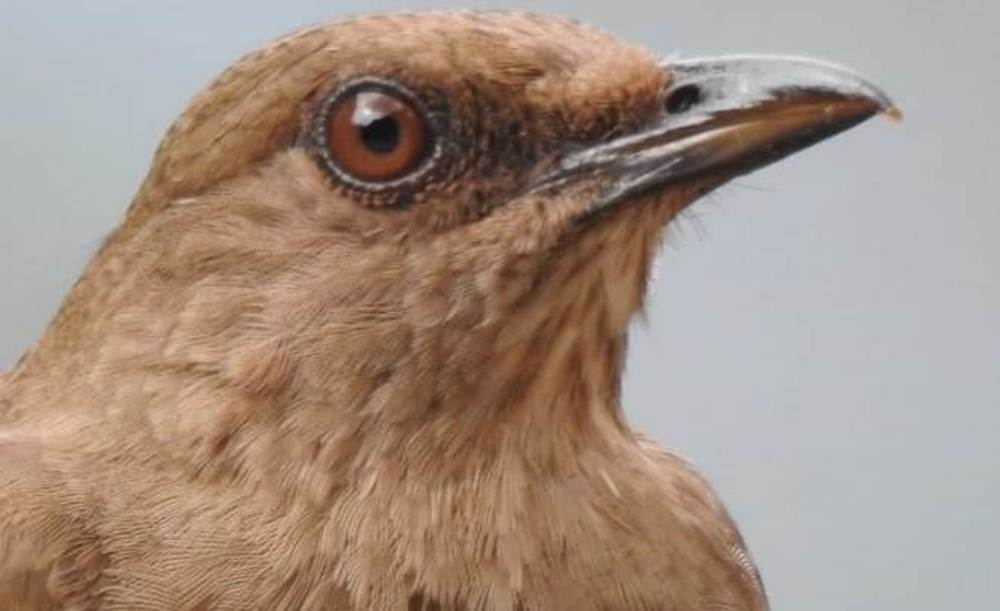 Photograph by Augusto Muñoz Bonilla